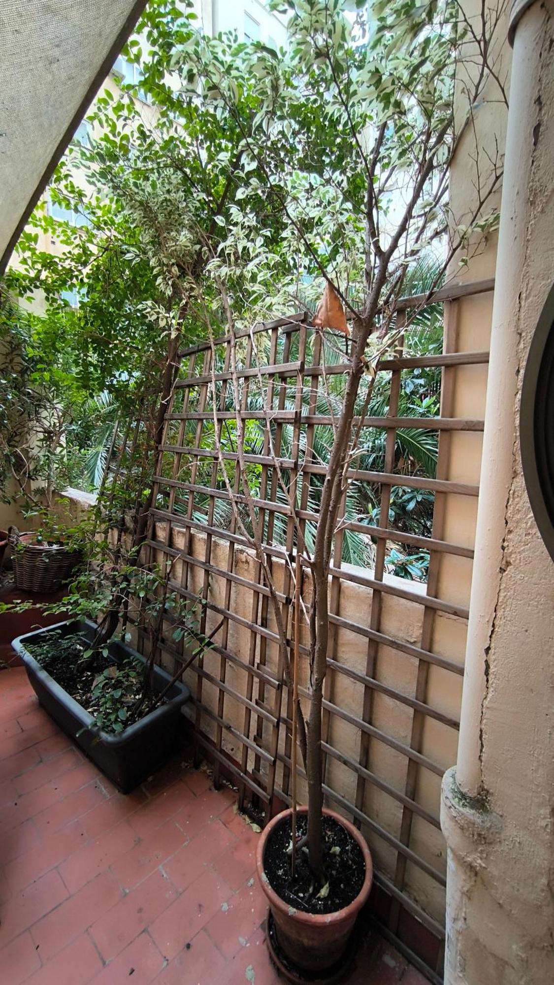 7 Moons B&B Valência Exterior foto